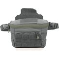 Blue Force Gear Two-4 Waist Pack for Plate Carriers Wolf Gray