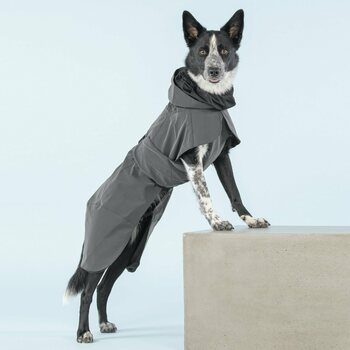 Paikka Visibility Raincoat for Dogs, Dark, 25 cm