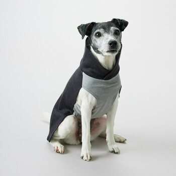 Paikka Recovery Winter Shirt for Dogs, Grey, 30 cm