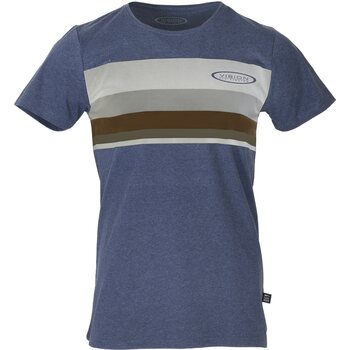 Vision Stripe T-Shirt Mens, Blue, S
