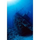 EW Dive Sukellussafari: Pohjoinen Punainen meri /Egypti. 28.11-7.12.2018.