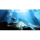 EW Dive Meksikon Cenotet: suorat lennot, luxusmajoitus 1.3-15.3.2020