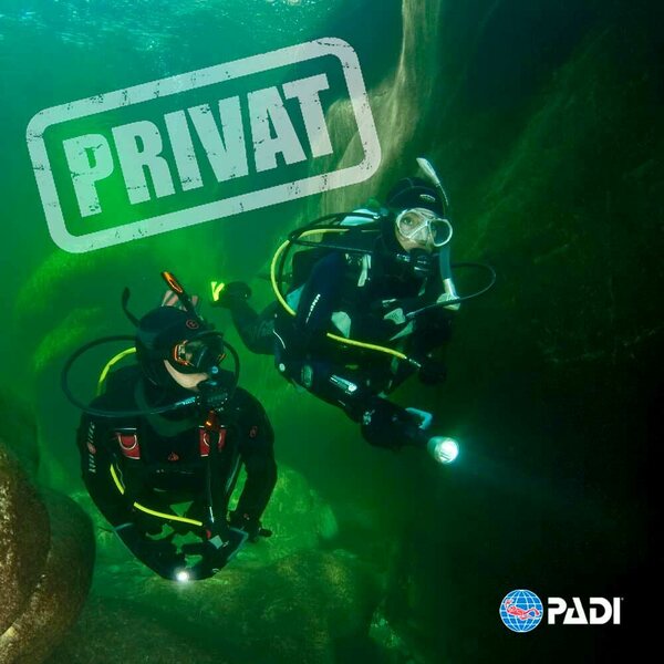 PADI Private course /Open Water Diver - with Dry suit Speciality-certification (OWD)
